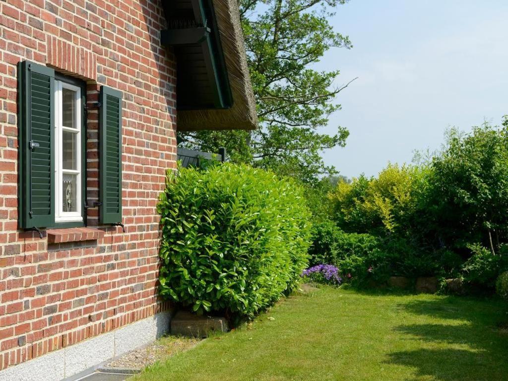 Wildrose Ferienhaus Boltenhagen  Exterior photo